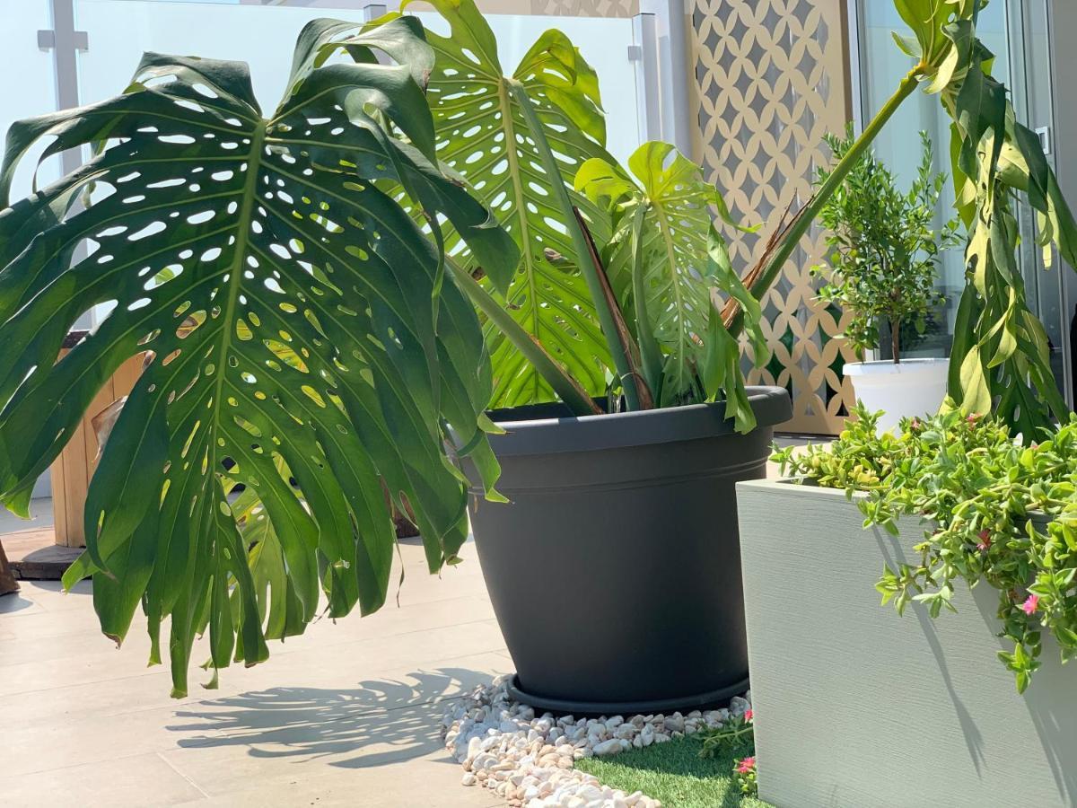 Dalu Suite Terrace Bari Buitenkant foto